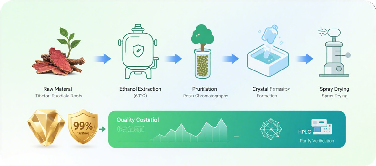 Salidroside flow chart
