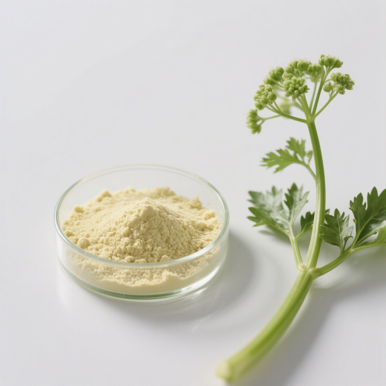 Apigenin CAS 520-36-5