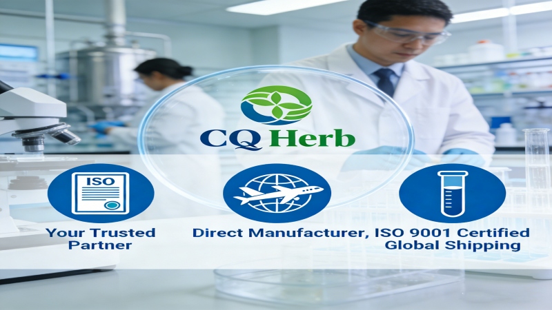 Chlorogenic Acid Direct Manufacturer