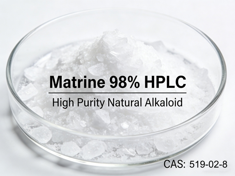 High Purity Matrine 98% HPLC White Powder Close-up View